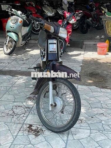 Honda Dream Trắng Đen Nâu Trung Quốc