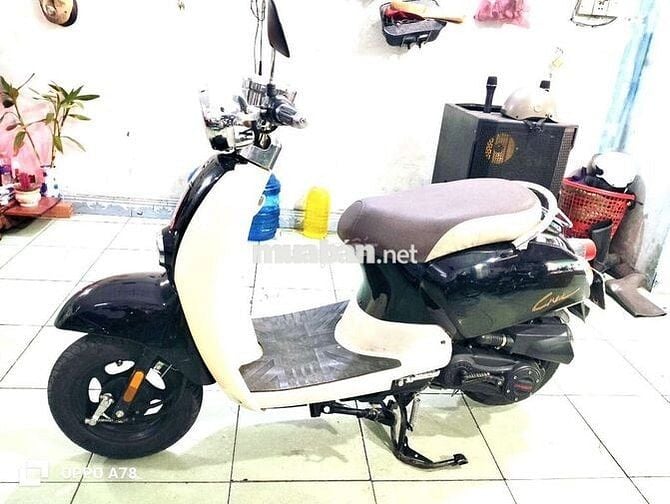 ♥️cub 50cc ko cần bằng lái đề nhẹ nỗ 🩵