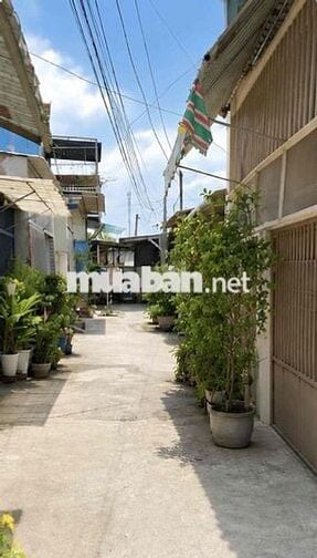 BÁN GẤP NHÀ TÂN THỚI NHÌ, HÓC MÔN 100M² – CHỈ 2,75 TỶ