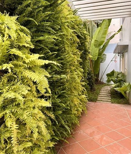 Cho thuê villa 216/ Nguyễn Văn Hưởng, Thảo Điền, Q2_DTSD 430m² có 5PN
