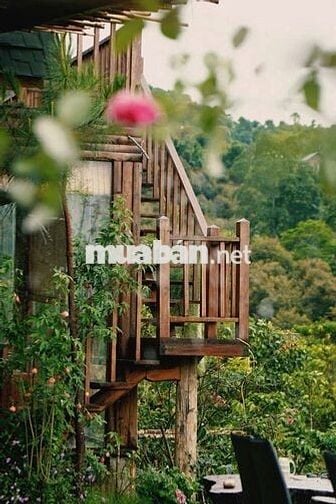🔥 Chỉ 623 Triệu/1000m² Đất Đồi Đẹp La Ngà - Không Gian Xanh Nghỉ Dưỡng