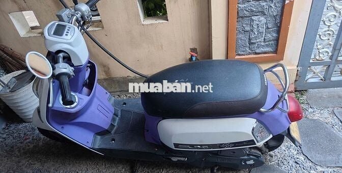 Yamaha Cuxi Nữ Tím Trắng