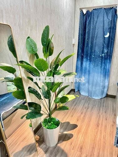 🏡CĂN HỘ 1PN TÁCH BẾP FULL NỘI THẤT | MÁY GIẶT RIÊNG | RỘNG RÃI -  Q1