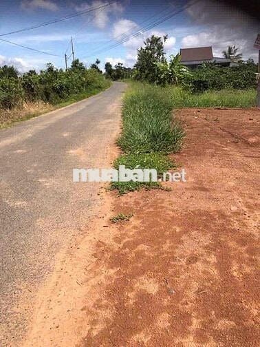 Đất chính chủ, Hoà Nam, Di Linh hơn 4.000m2
