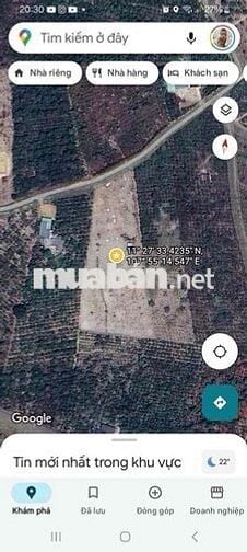 Đất chính chủ, Hoà Nam, Di Linh hơn 4.000m2