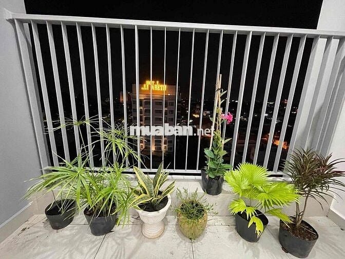 Cho thuê căn hộ cao cấp giá siêu tốt ngay trung tâm thủ dầu một