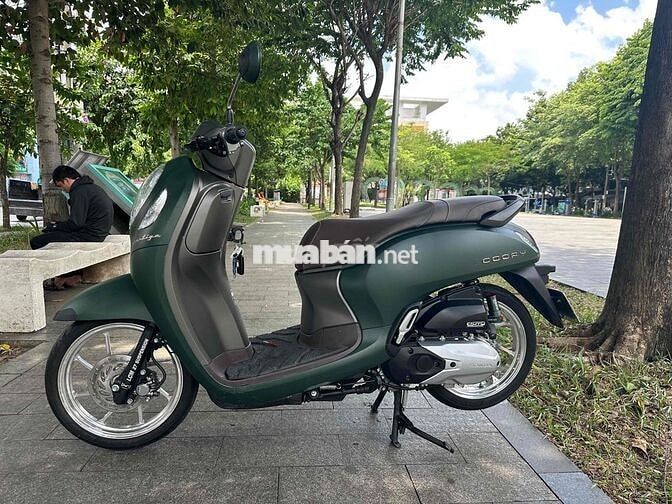 xe scoopy 2023 : Xe indo 9 Chủ sang tên :