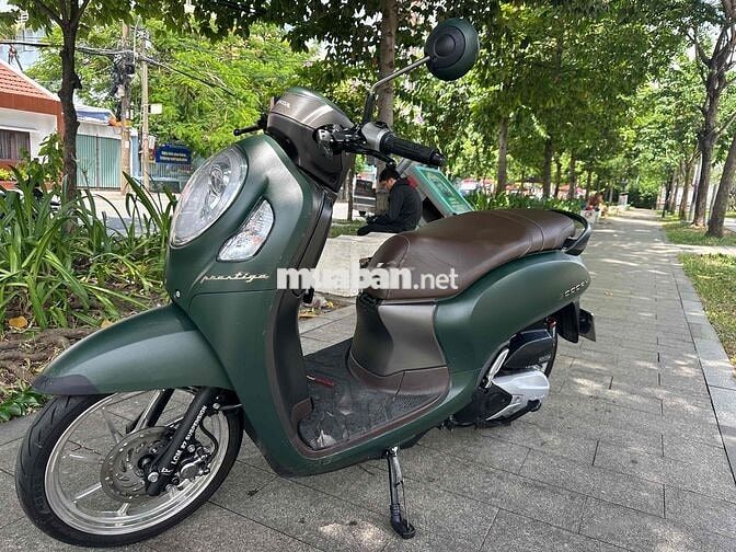 xe scoopy 2023 : Xe indo 9 Chủ sang tên :