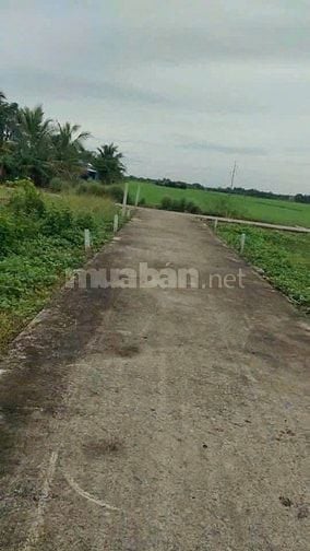 Bán đất sổ riêng 121m2 - xã Long An - Cần Giuộc - Long An, giá 380tr