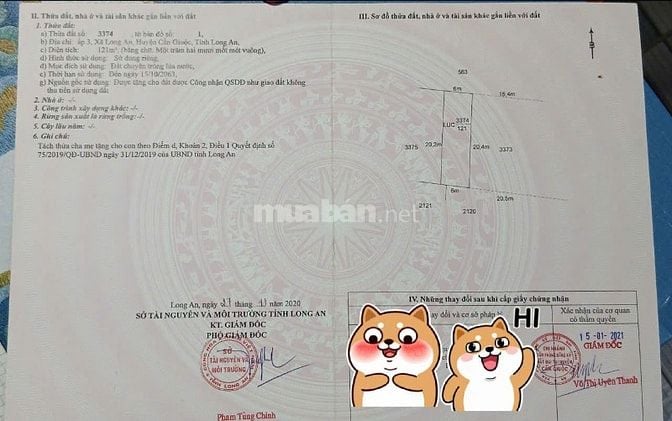 Bán đất sổ riêng 121m2 - xã Long An - Cần Giuộc - Long An, giá 380tr