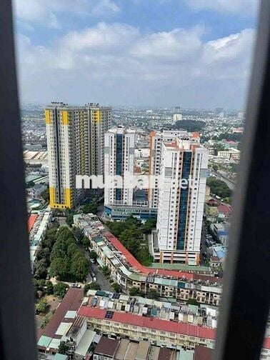 🏡 BÁN CĂN HỘ 1PN - 1WC CHUNG CƯ SEN HỒNG - 1.47tỷ