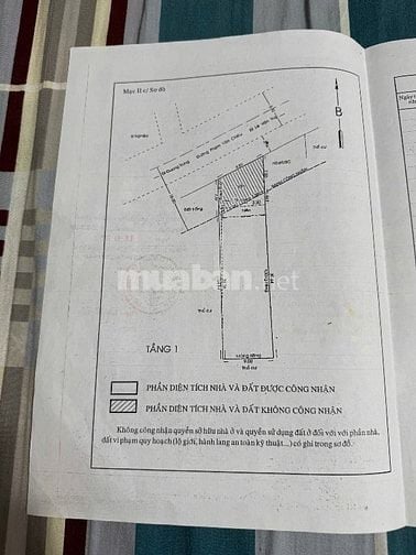 CHO THUÊ NHÀ MẶT TIỀN NGUYÊN CĂN MẶT TIỀN PHẠM VĂN CHIÊU, GÒ VẤP
