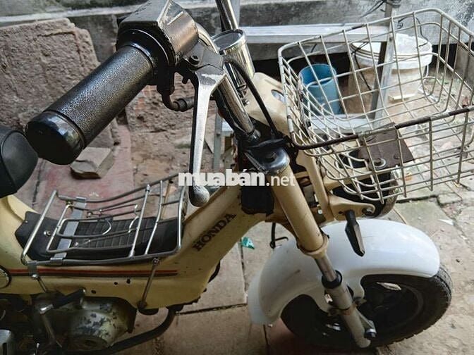 Honda Chaly 49cc Vàng