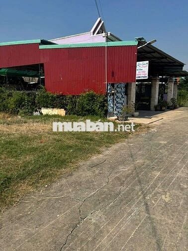 CHO THUÊ NHÀ VƯỜN 300M2 Ở TRƯỜNG BÌNH - MỸ LỘC CẦN GUỘC - DT: 10x30M