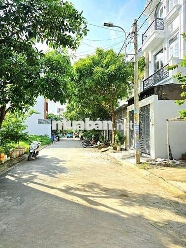 HẺM 6m Thông Dương Đức Hiền, Ngay ĐHCT_4x19.5m, Đúc 4 Tấm Mới, 4PN 4WC
