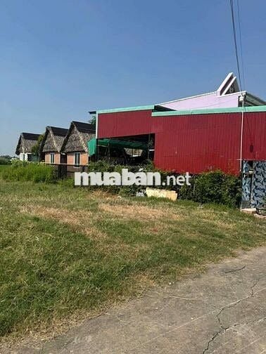 CHO THUÊ NHÀ VƯỜN 300M2 Ở TRƯỜNG BÌNH - MỸ LỘC CẦN GUỘC - DT: 10x30M