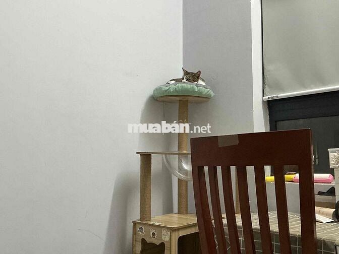 Share 1pn 1wc FULL NỘI THẤT INTERVER trong chung cư 2pn 2wc Bình Tân