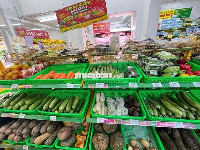 VIỆC LÀM BÁCH HOÁ XANH