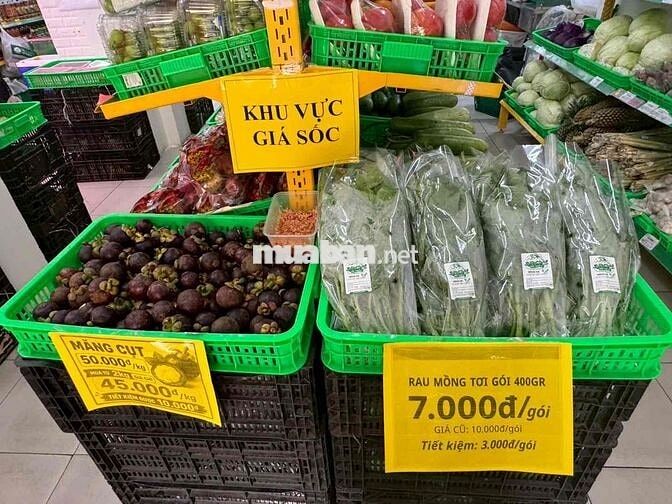 VIỆC LÀM BÁCH HOÁ XANH