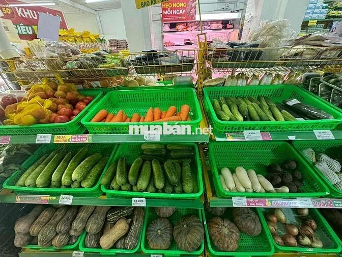 VIỆC LÀM BÁCH HOÁ XANH