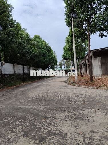 Bán đất Mỹ Phước 3 Thới Hòa 10*30m, full thổ cư