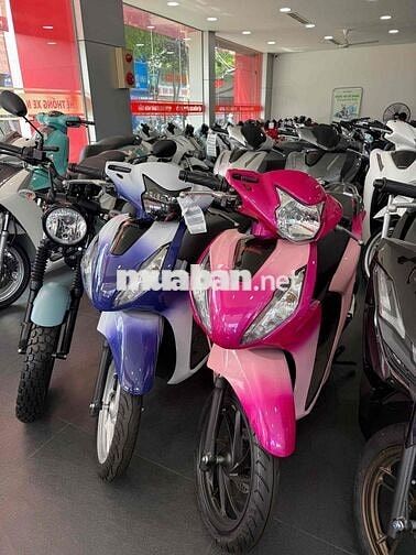 Honda Vision Xe tay ga Đa dạng