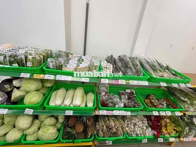 VIỆC LÀM BÁCH HOÁ XANH