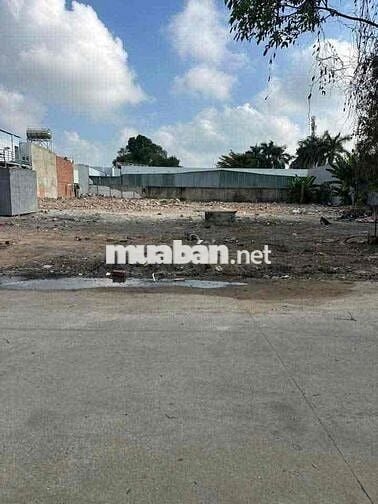 lô đất 5x50 tại tân vĩnh hiệp ,  có 2 lô liền kề xây nhà vườn rất đẹp