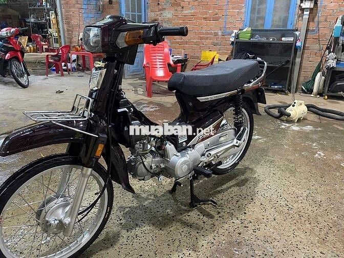Honda Dream dọn full new
