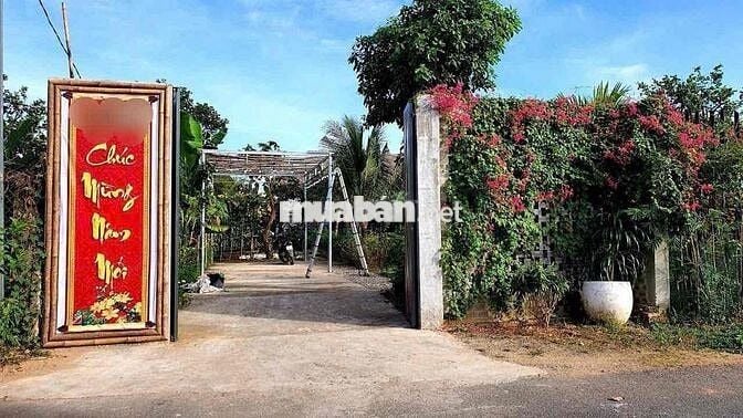 Cho Thuê Nhà Vườn Nghỉ Dưỡng  - Bình Lợi (cũ) - P.Tân Triều - Giá: 12t