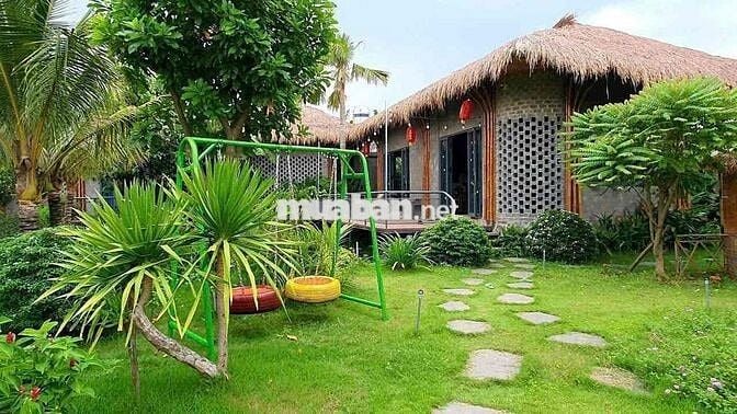 Cho Thuê Nhà Vườn Nghỉ Dưỡng  - Bình Lợi (cũ) - P.Tân Triều - Giá: 12t