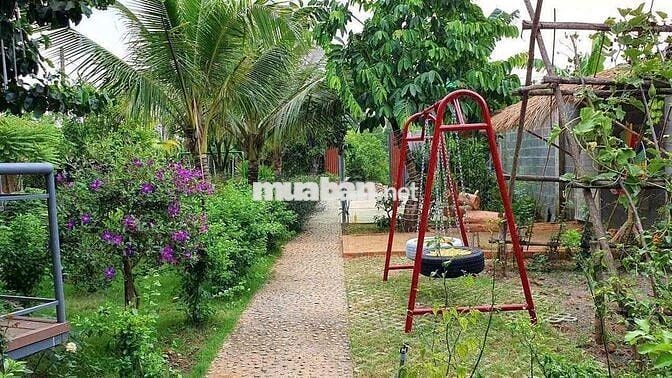 Cho Thuê Nhà Vườn Nghỉ Dưỡng  - Bình Lợi (cũ) - P.Tân Triều - Giá: 12t