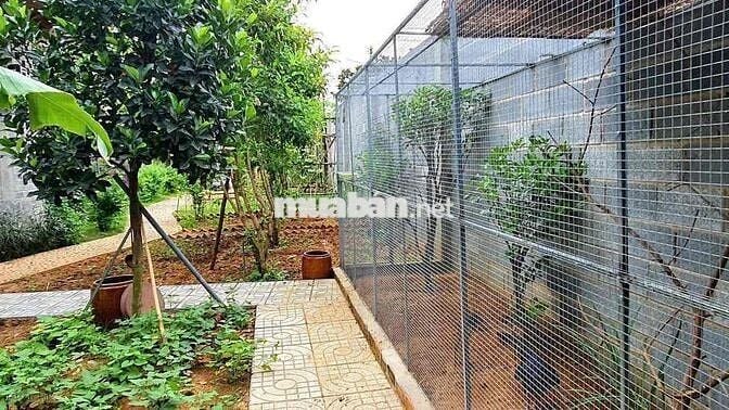 Cho Thuê Nhà Vườn Nghỉ Dưỡng  - Bình Lợi (cũ) - P.Tân Triều - Giá: 12t