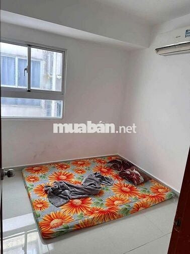 cho thuê chung cư 8xplus trường chinh