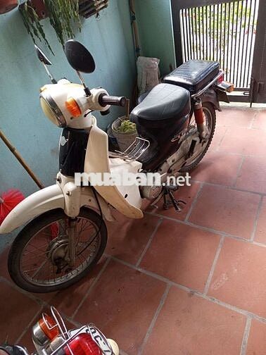 Honda Cub 50cc Trắng