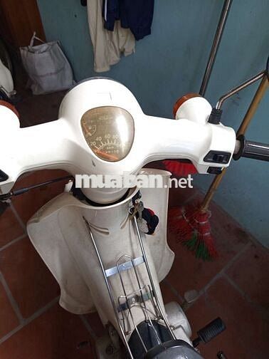 Honda Cub 50cc Trắng