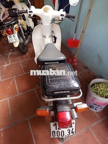 Honda Cub 50cc Trắng