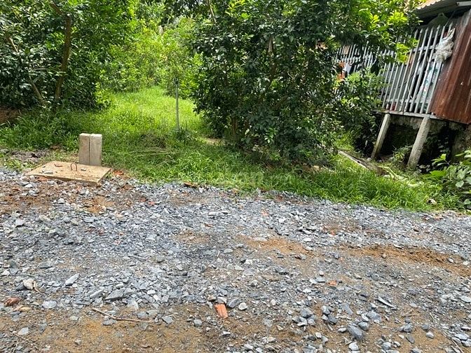Bán Đất Thạnh Hòa, Long Hưng, Đồng Tháp. 9,10mx27m= 248m, Đường ôtô 