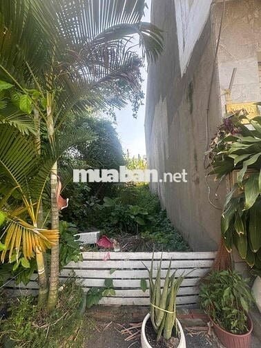 ĐẤT Ở ĐÔ THỊ - 57m² - HXH- CHỈ 3t
