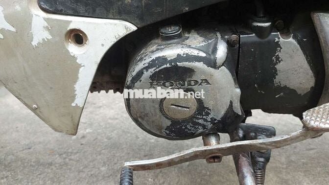 Honda Wave 2024 Xanh Bạc 261229 km