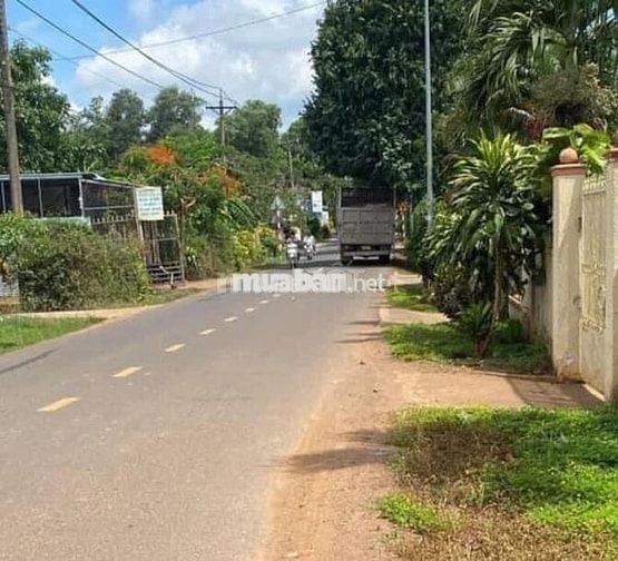 đất vườn có thổ cư cần bán gâpp