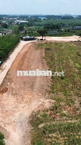 Bán đất Hòa Lợi 5*32m, thổ cư 60m, sổ hồng sẵn