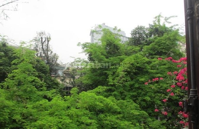 Bán nhà phố Nguyễn Thượng Hiền