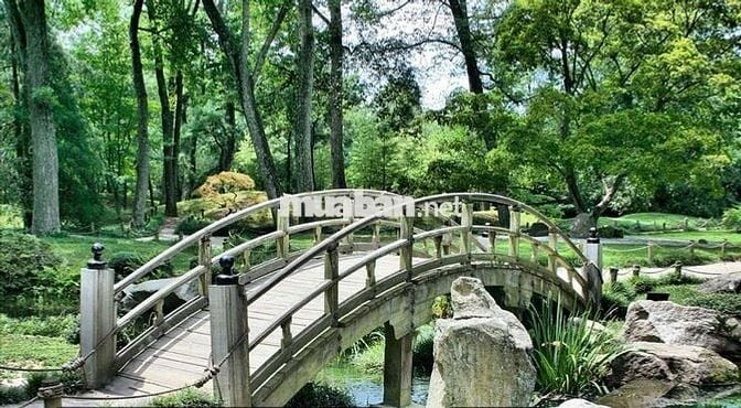 đất trồng cây làm vườn xây được 25m ở