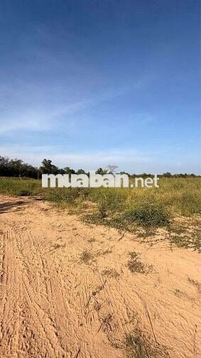 bán đất bè ngang khủng39 m đường xe hơi 