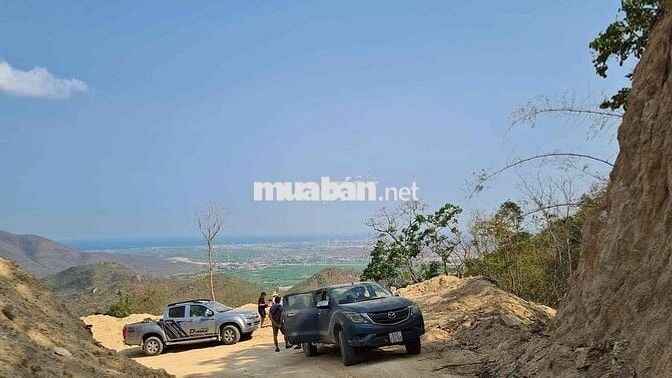 Isuzu D-Max 2014 Bạc Tự động