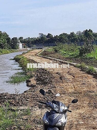 BÁN ĐẤT NN - QUY HOẠCH 100% ĐẤT ODT – KHU TĐC BÌNH HÒA, P. TÂN TRIỀU