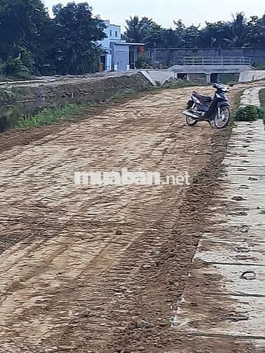 BÁN ĐẤT NN - QUY HOẠCH 100% ĐẤT ODT – KHU TĐC BÌNH HÒA, P. TÂN TRIỀU