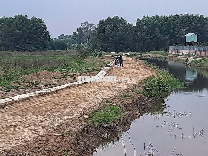 BÁN ĐẤT NN - QUY HOẠCH 100% ĐẤT ODT – KHU TĐC BÌNH HÒA, P. TÂN TRIỀU