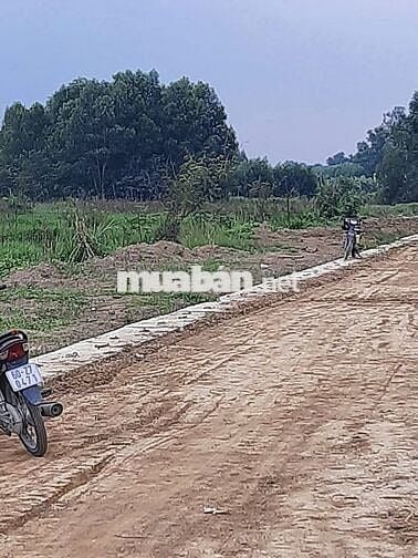 BÁN ĐẤT NN - QUY HOẠCH 100% ĐẤT ODT – KHU TĐC BÌNH HÒA, P. TÂN TRIỀU